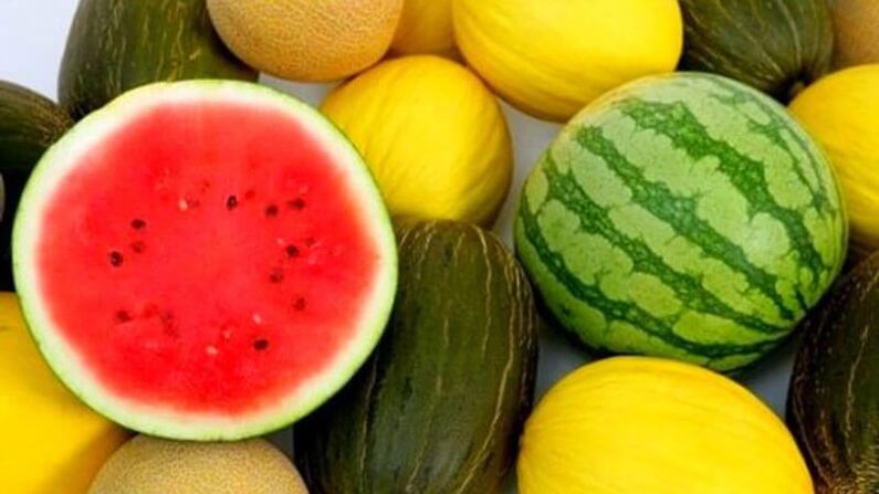 Meloun a meloun - bobule nebezpečné pro diabetiky